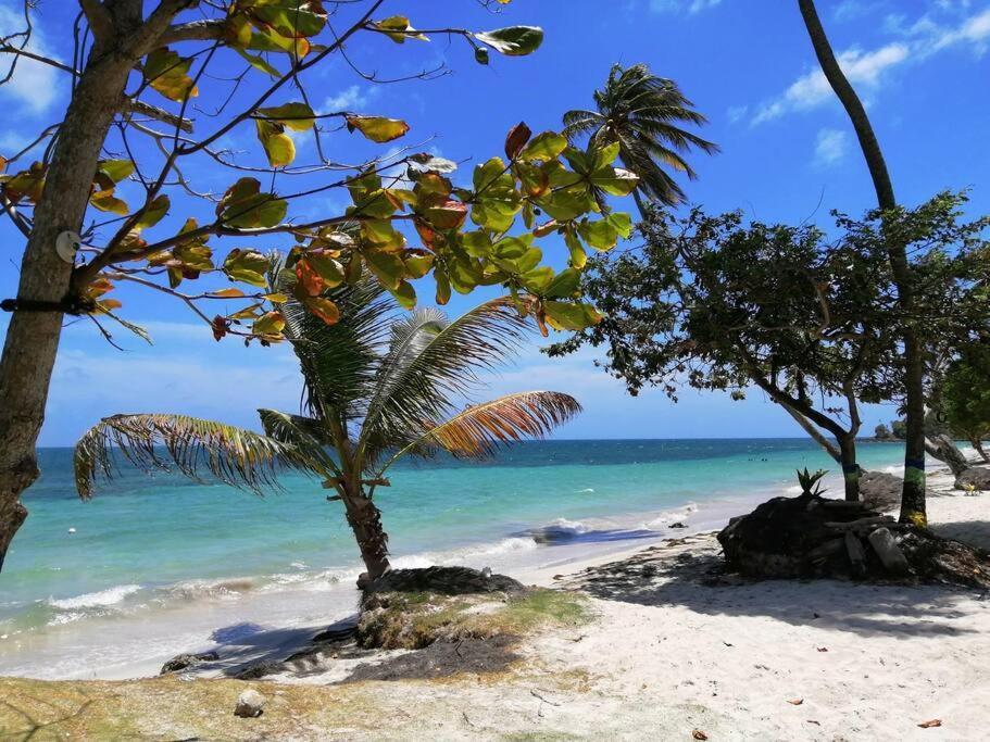 Mi Hermosa - Casa Islena A 70 Metros De La Playa Archibolds Ngoại thất bức ảnh